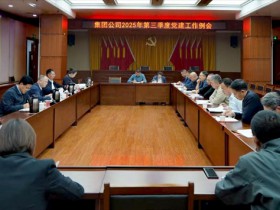 集團公司黨委召開2025年第三季度黨建工作例會